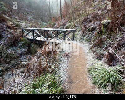 Fußgängerbrücke über Maspie Burn in Maspie Höhle auf einem frostigen Tag Winbter Falkland Estate Falkland Fife Schottland Stockfoto