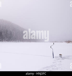 Eis-Schnecke auf Schnee bedeckt Feld während schneit Stockfoto