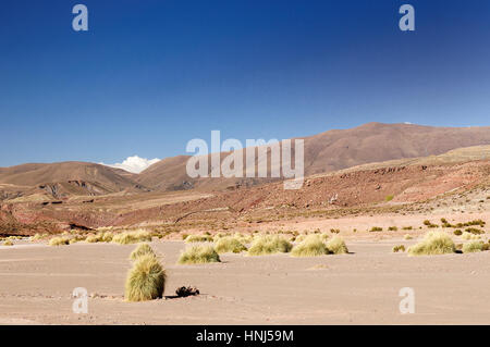 Südamerika - die surreale Landschaft in den schönen Anden in Bolivien Stockfoto