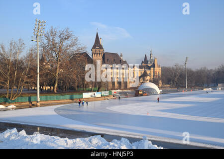 Burg Vajdahunyad, Heimat der Ungarische Landwirtschaftsmuseum im Stadtpark, Budapest, Ungarn. Den See friert im Winter vor und dient als ein skatin Stockfoto