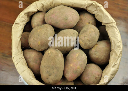 Papiertüte der ungewaschene Maincrop Kartoffeln Sorte Red Mozart. Stockfoto