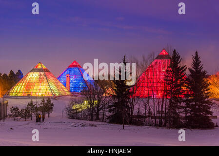 Beleuchtete Muttart Conservatory Pyramiden, einen botanischen Garten in Edmonton, Alberta, Kanada Stockfoto