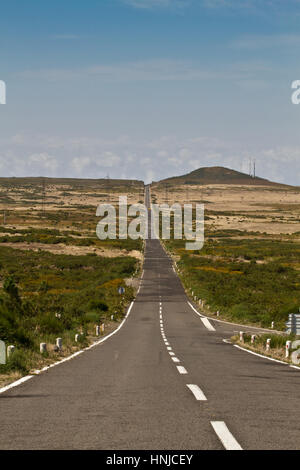 Paúl da Serra (Insel Madeira) Stockfoto