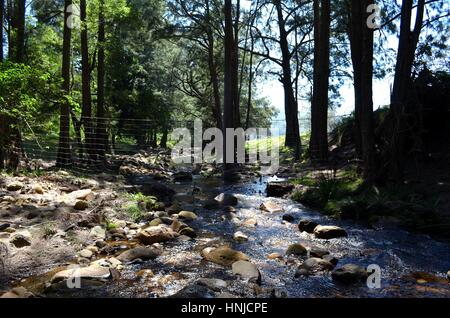 Draht-Zaun suchen sehr fehl am Platz in herrlicher Fluss Einstellung Australien Stockfoto