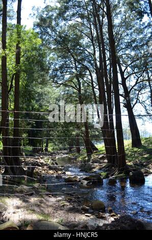 Draht-Zaun suchen sehr fehl am Platz in herrlicher Fluss Einstellung Australien Stockfoto