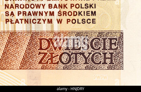 Polnische Banknoten fotografiert Nahaufnahme. Dargestellten Kosten Geld zwei hundert Zloty. Kleine Schärfentiefe Stockfoto
