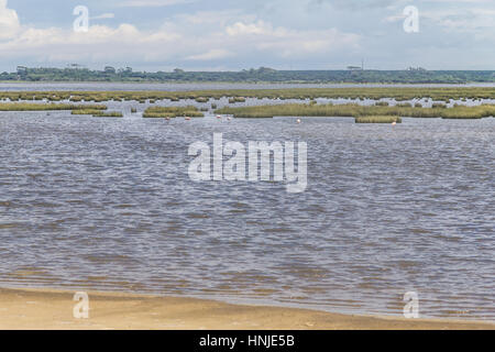 Chilenische Flamingo in Lagoa Peixe See Stockfoto