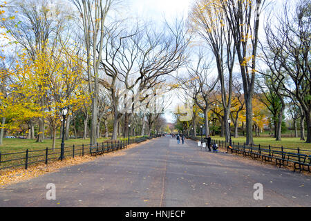 Die Mall und literarischen Spaziergang im Central Park enthält eines der grössten und zuletzt bleibt der amerikanischen Ulme Stockfoto