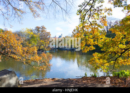 Fall Colors in Central Park Stockfoto