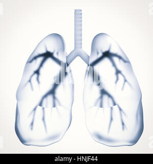 3D Rendering schwarze Lunge oder ungesunde Lunge Stockfoto