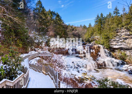 Blackwater fällt, Blackwater Falls State Park, Allegheny Mountains, West Virginia, USA Stockfoto