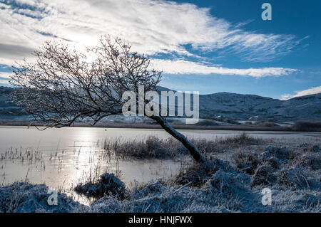 Winterlandschaft am See Shanaghan, Ardara, County Donegal, Irland Stockfoto