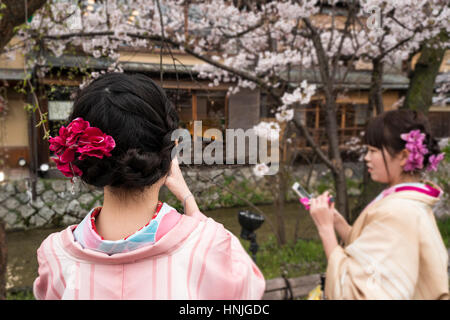 Zwei junge Frauen in Kimono Fotografieren von Kirschblüten (Sakura) mit ihrem Handy in Gion Bezirk, Kyoto, Japan Stockfoto