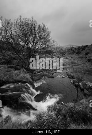 Schwarze Tor fällt auf Dartmoor, Fluß Meavy läuft in Richtung Plymouth über Burrator Reservoir. Stockfoto