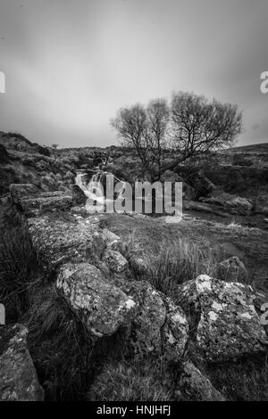 Schwarze Tor fällt auf Dartmoor, Fluß Meavy läuft in Richtung Plymouth über Burrator Reservoir. Stockfoto