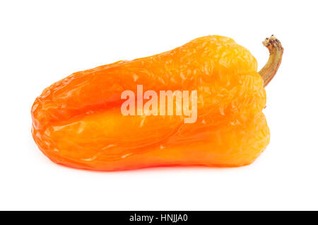 Verwelkte orange Paprika isoliert auf weißem Hintergrund. Schimmelige Gemüse. Stockfoto