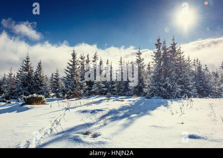 Traumhafte Winterlandschaft und ausgetretenen Pfade, die führen Stockfoto