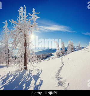 Traumhafte Winterlandschaft und ausgetretenen Pfade, die in führen die Stockfoto