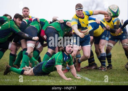 North Dorset RFC 1st XV Vs Trowbridge RFC 1st XV Samstag, Samstag, 11. Februar 2017 - Gillingham, Dorset, England. Dorset-Fly-Hälfte in Aktion Stockfoto