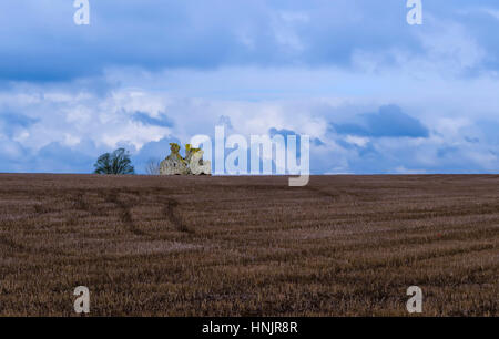 Alten & vergessene verfallenes Haus auf einem Hügel Stockfoto