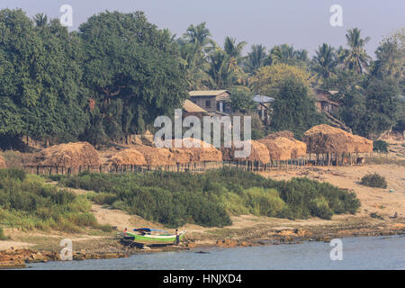 Die Rinder werden Sie im Schatten der erhöhten Storage-plattformen an einem Dorf an den Ufern des Irrawaddy Flusses in Myanmar (Burma). Stockfoto