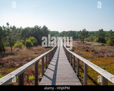 São Jacinto Dünen Naturpark Stockfoto