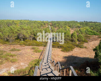 São Jacinto Dünen Naturpark Stockfoto