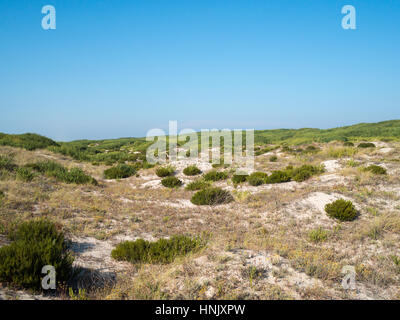 São Jacinto Dünen Naturpark Stockfoto