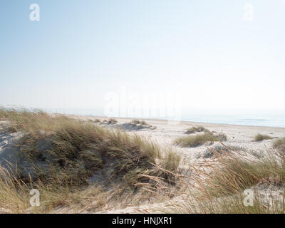 São Jacinto Dünen Naturpark Stockfoto