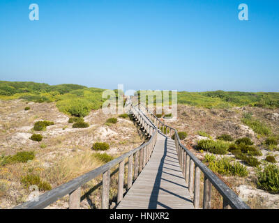 São Jacinto Dünen Naturpark Stockfoto