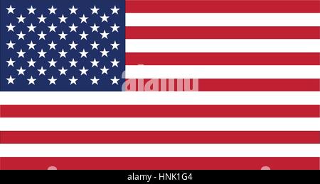 Vereinigte Staaten von Amerika Flagge Illustration Vektor Stock Vektor