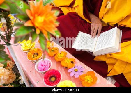 Tibetisch-buddhistische Nonne betet und gibt Blumen als Opfergaben während einer Zeremonie in Tagong Kloster in Tibet-Plateau, Sichuan, China Stockfoto