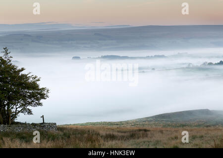 Der Hadrianswall: tiefliegende herbstlichen Nebel Atmosphäre verleiht die Ansicht vom Hotbank Felsen, Blick nach Süden in Richtung Tal South Tyne und North Pennines Stockfoto