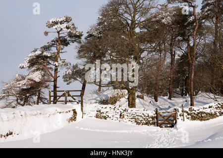 Der Hadrianswall im Winter: westlichen Eingang zum Wald am Housesteads Klippen, ein wenig westlich von römischen Kastells Housesteads Stockfoto