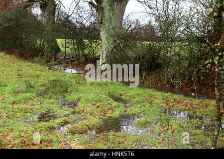 Aufgeweichten Felder und Rinne, in der Nähe von Gräben Wareham Dorset UK Stockfoto