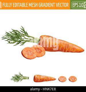 Karotte auf weißem Hintergrund. Vektor-illustration Stock Vektor