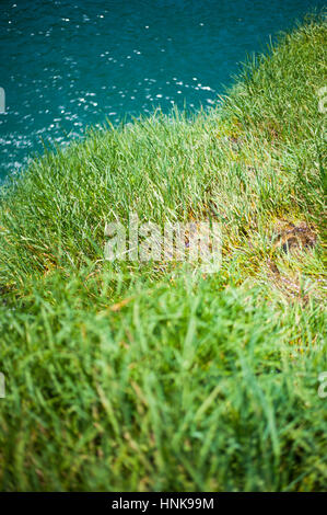 Grasige Ufer des Flusses Krupa Stockfoto