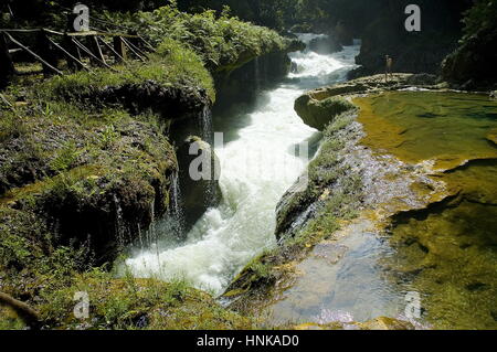 Semuc Champey, Landschaft in Guatemala Stockfoto