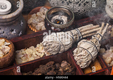 Salvia Apiana (weißer Salbei, Heilige Salbei, Biene Salbei, Kalifornien Salbei) und verschiedene Arten von Weihrauch Weihrauch: Weihrauch, Myrrhe, Palo Santo, Gowe. Stockfoto