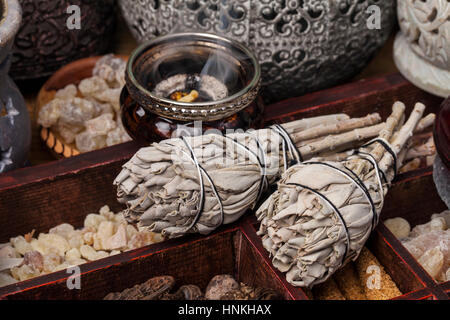 Salvia Apiana (weißer Salbei, Heilige Salbei, Biene Salbei, Kalifornien Salbei) und verschiedene Arten von Weihrauch Weihrauch: Weihrauch, Myrrhe, Palo Santo, Gowe. Stockfoto