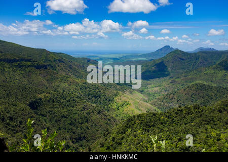 Dschungel-Paradies auf Mauritius Stockfoto