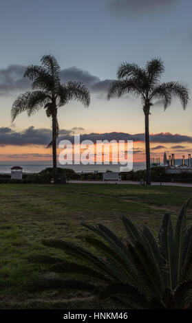 Schönen Sonnenuntergang Himmel in der goldenen Stunde mit zwei Palmen vor eine Rasenfläche mit einer Palme in der Ecke.  Schuss in San Diego, Kalifornien aufgenommen. Stockfoto