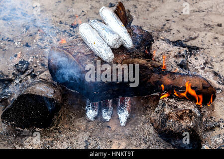 Mais, eingewickelt in Alufolie, über dem Feuer in der Kohle-Popcorn im Feuer gekocht Stockfoto