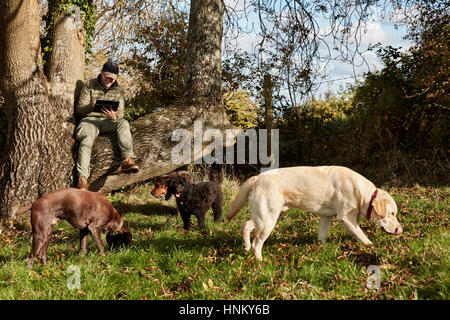 Dogwalker sitzt auf einem Ast mit einem digital-Tablette und drei Hunde schnüffeln am Boden. Stockfoto