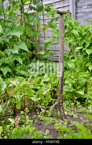 Garten-Gabel im Gemüsegarten Stockfoto