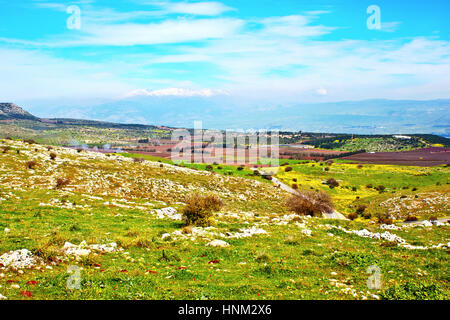 Der Frühling Landschaft. Stockfoto