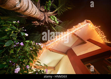 Weihnachtsbeleuchtung am Haus mit niedrigeren Strukturansicht Kokospalme Stockfoto