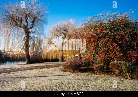 Frostigen Wintermorgen neben dem Fluss Nene in zentralen Peterborough, Cambridgeshire, England, UK Stockfoto