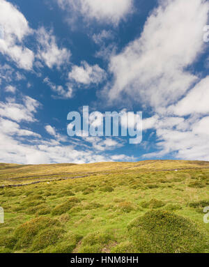 Blick über die Berge, Moor und Heide der westlichen Halbinsel Dingle aus den Wanderweg auf der Oberseite Reenconnell, County Kerry, Irland Stockfoto