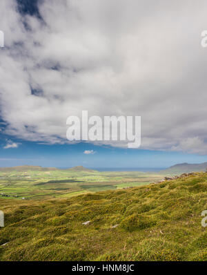 Blick über die Berge, Moor und Heide der westlichen Halbinsel Dingle aus den Wanderweg auf der Oberseite Reenconnell, County Kerry, Irland Stockfoto